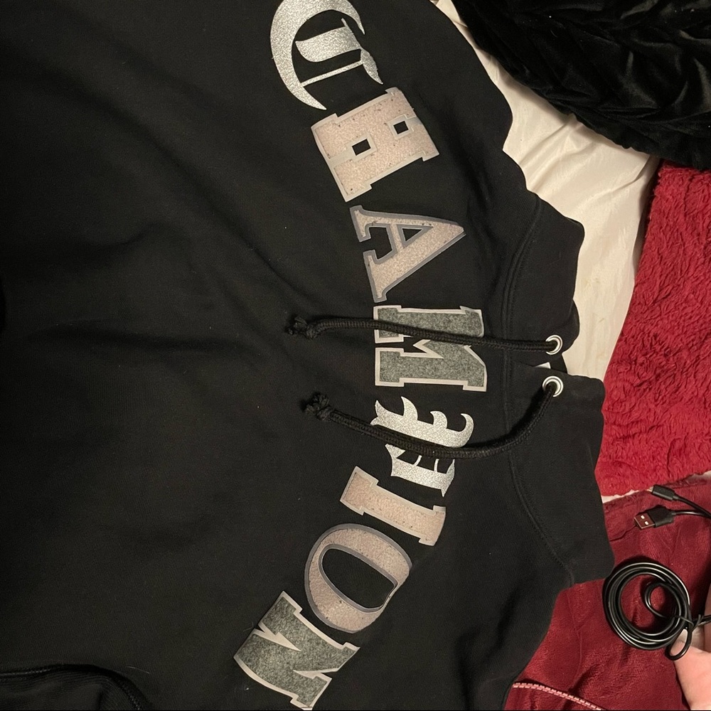 Cropped champion hoodie
